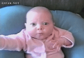 500x200 (71).gif