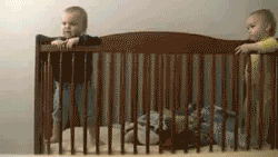 500x200 (37).gif