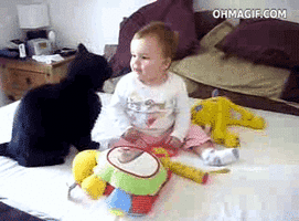 500x200 (29).gif