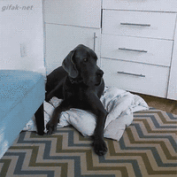 500x200 (14).gif