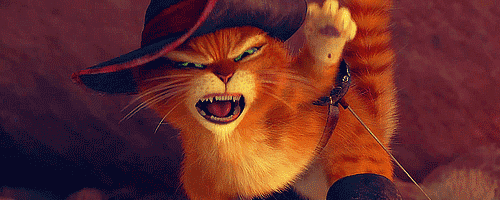 500x200 (10).gif