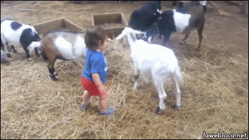 500x200 (81).gif