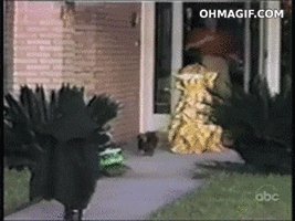 500x200 (97).gif