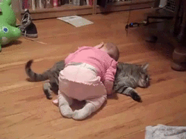 500x200 (78).gif