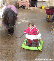 500x200 (4).gif
