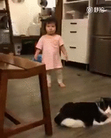 500x200 (3).gif