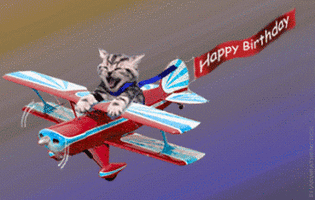 500x200 (81).gif