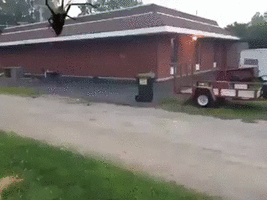 500x200 (32).gif