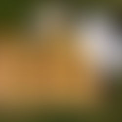 Peter Sawkins Join Forces with FREEE