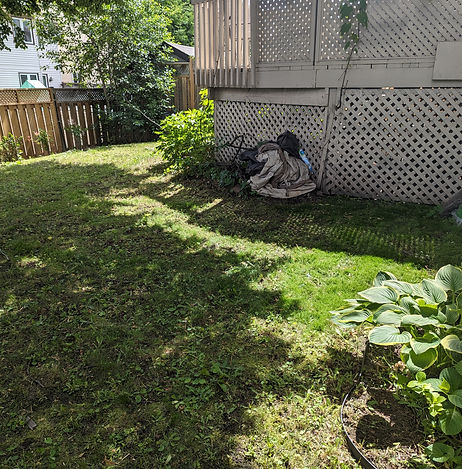 PXL_20240616_150138574 (3).jpg