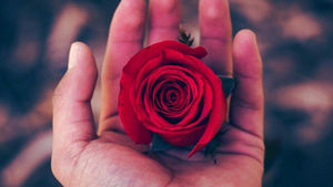 The Language of Love