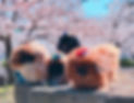line_oa_chat_230309_205154.jpg