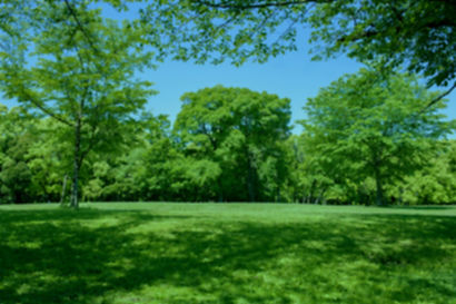 29844139_m_edited.jpg