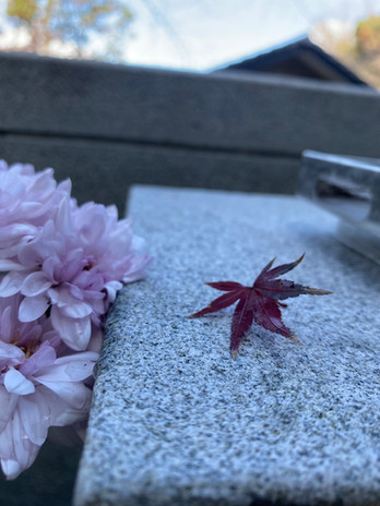 IMG_0515.jpeg