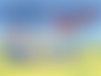 It's A Wonderful Career