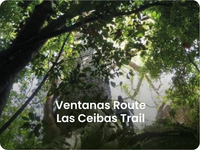 ruta ventanas_EN.png