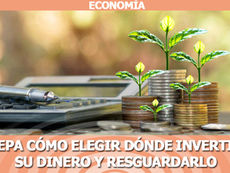 Sepa cómo elegir dónde invertir su dinero y resguardarlo