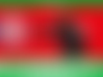 Fedefut anunciará al argentino Fernando Batista como técnico de La Sele 