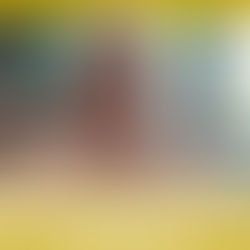 Colaboradores y clientes son fundamentales para logros de Proactiva MRF & Asociados