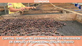 Estudio revela que capital semilla no reembolsable es generador de empleo y formalidad