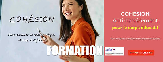 formation harcèlement scolaire paroles de sagesse.jpg