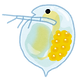mushi_mijinko.png
