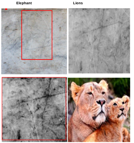 Ancient image of an ancient Mesopotamian style engraving of a pack of lions found on Noah's Tzohar