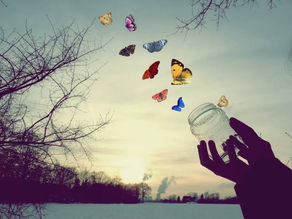 Um grito de liberdade