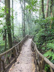 Natural Center Tours