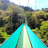 Monteverde Hanging Bridge