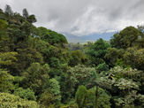 Natural Center Tours