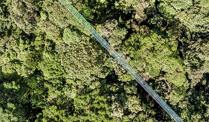 Trips to Monteverde