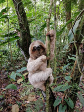 Natural Center Tours