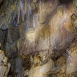 Natural Center Tours