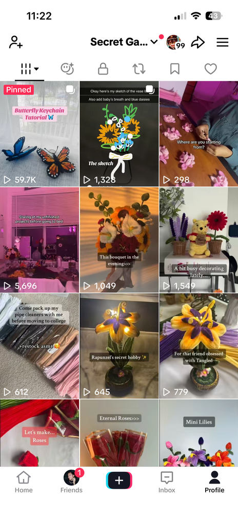 TikTok page
