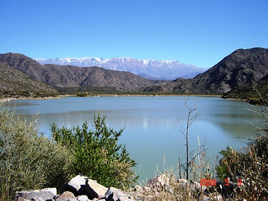 2472_1152545688.jpg