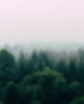 filip-zrnzevic-QsWG0kjPQRY-unsplash_edited.jpg