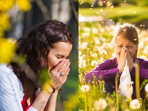 擺脫秋冬天的鼻敏感:讓你呼吸暢順