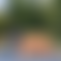 Fair-Winning Pumpkin