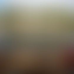 Swimming in the Seine