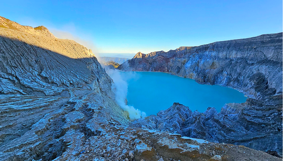 Algae Transforms Food Waste