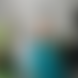 Making a Hummingbird Hospital 