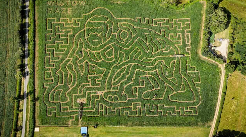 Maze Honors David Attenborough