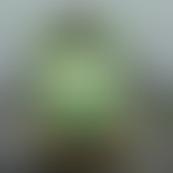 India’s Elephant Ambulance