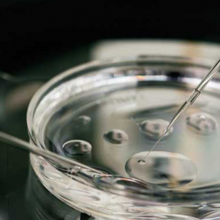 Fertility Treatments Expand 