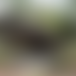 Finland’s Mystery Rock