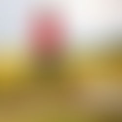 How Exercise Prevents Depression