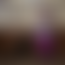 Stray Dog Finds A Home