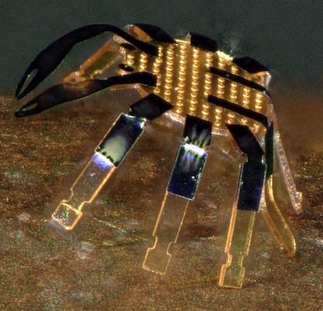 Tiny Robotic Crabs