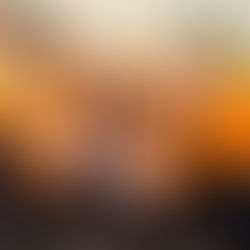 Susan Jacobs-Meadows: Executive Director of Canine CellMates and Beyond the Bars 